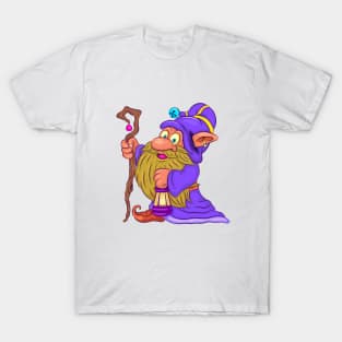 Cartoon Fairy Gnome. T-Shirt